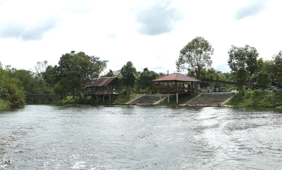 P1170842.JPG