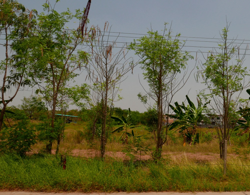 The Rich Home Nakhonratchasima  16.JPG