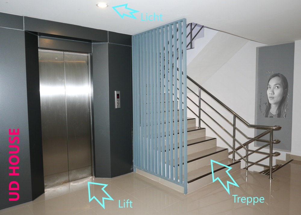 UD House 3.JPG
