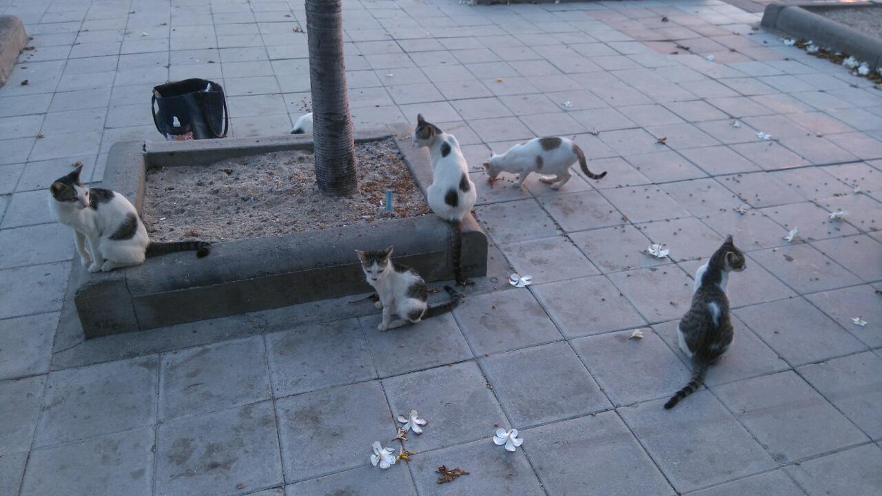 DSC_0129_3.JPG