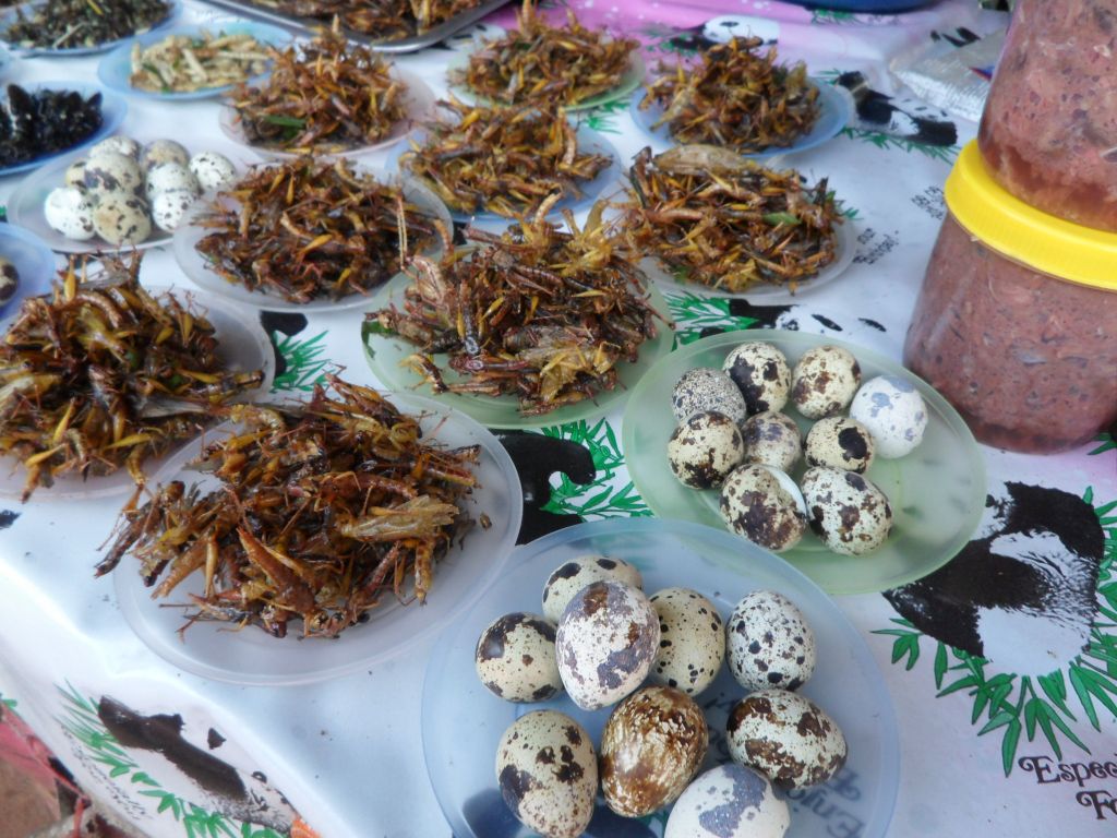 2011-10-24 14.26.25.jpg