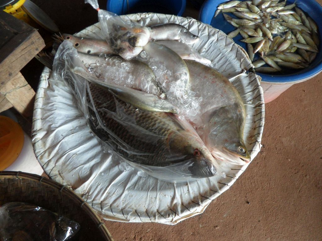 2011-10-24 14.31.20.jpg