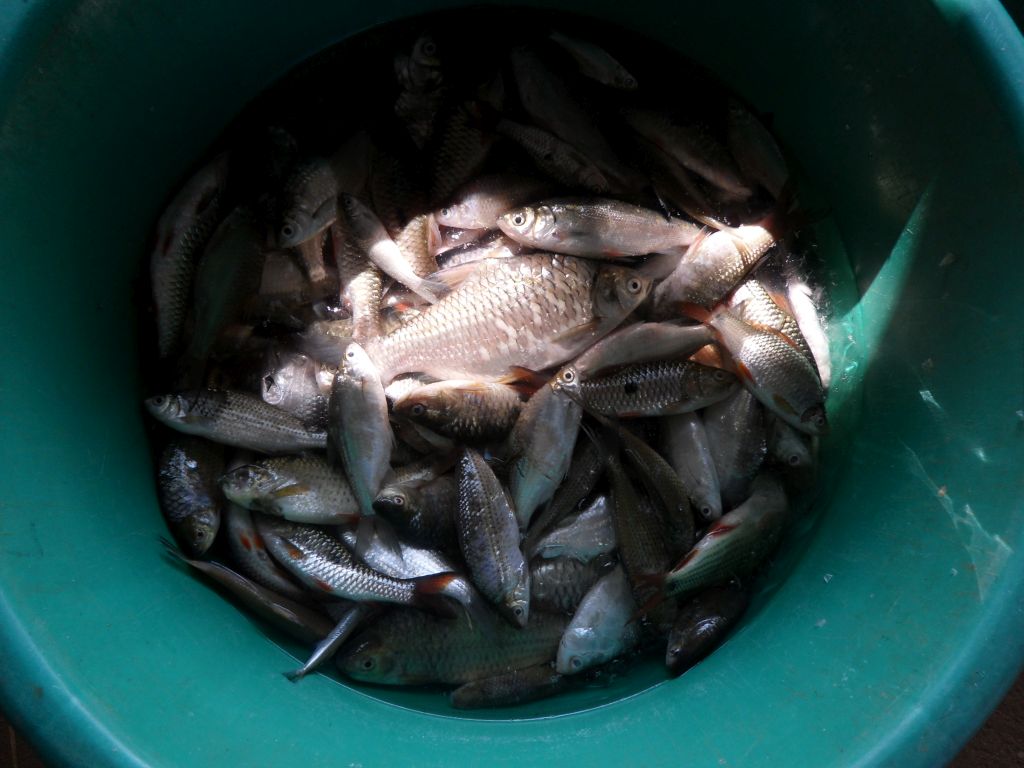 2011-10-24 14.31.36.jpg