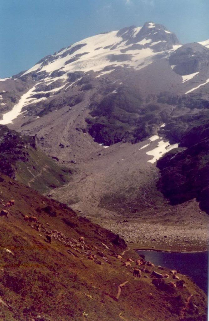 Oltscherenalp1982b_zps796406e0.jpg