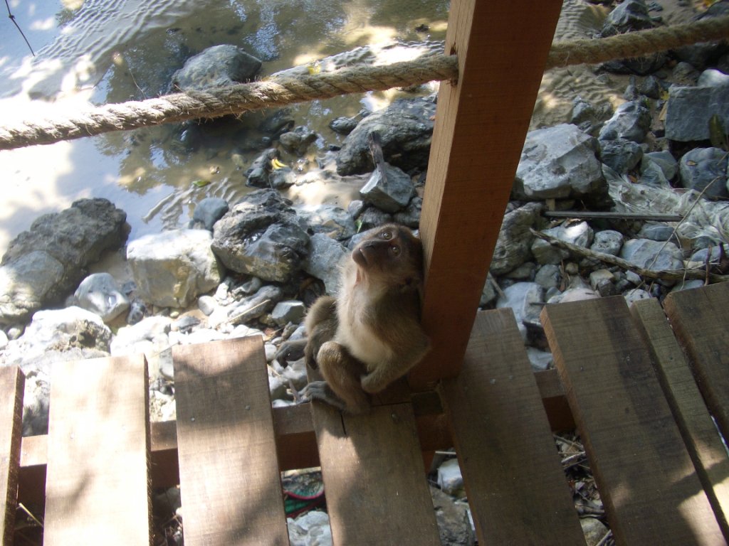 IMGP2512.JPG