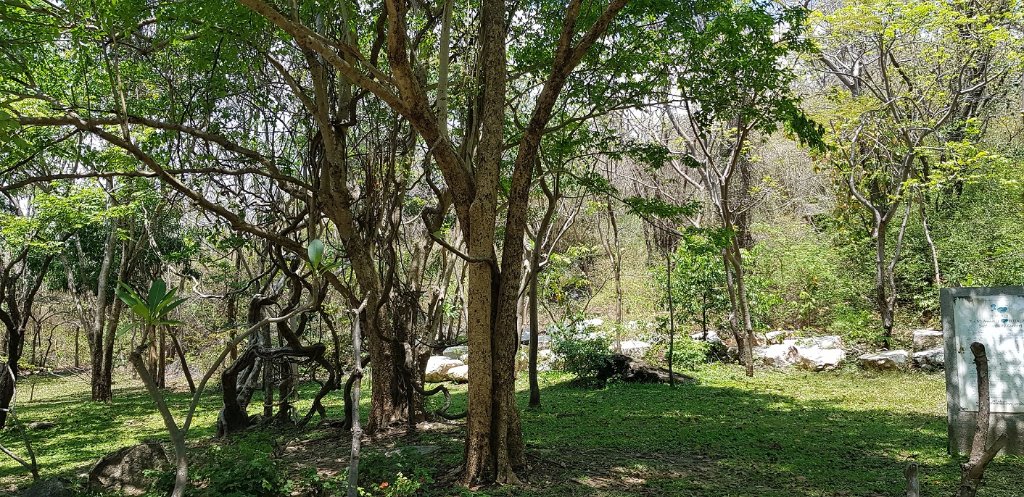bumbuihuahin44.jpg