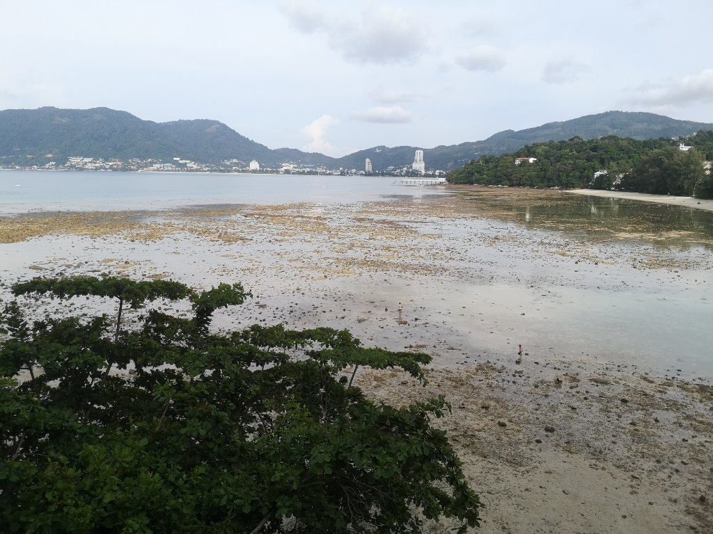 IMG_20211105_162625.jpg