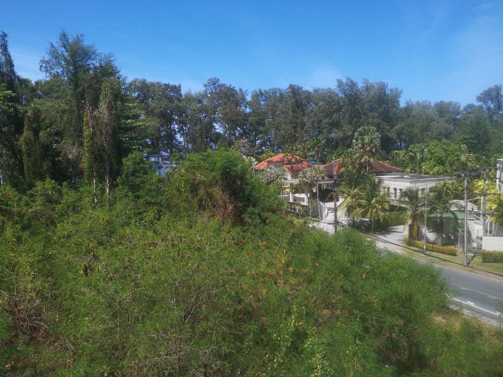 IMG_20220202_115814.jpg