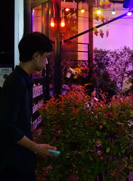Bee Boy Bar 5.jpg