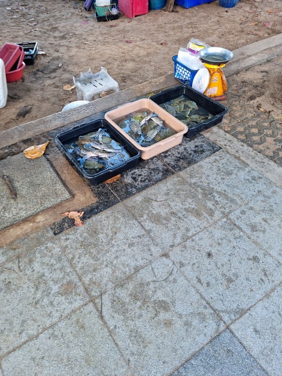 20220123_074338.jpg