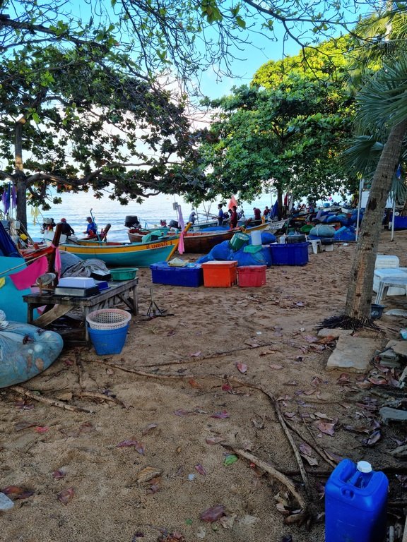 20220123_074256.jpg