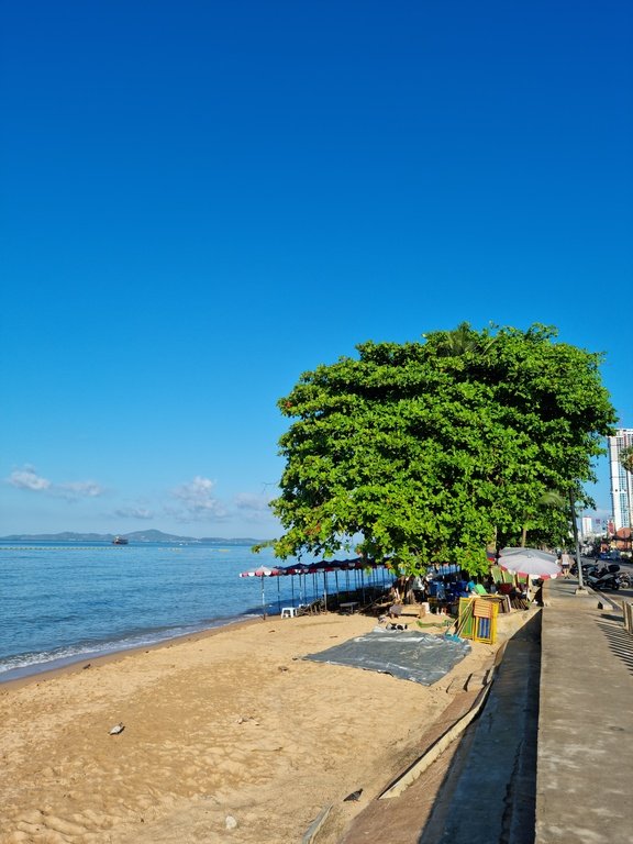 20220123_082628.jpg