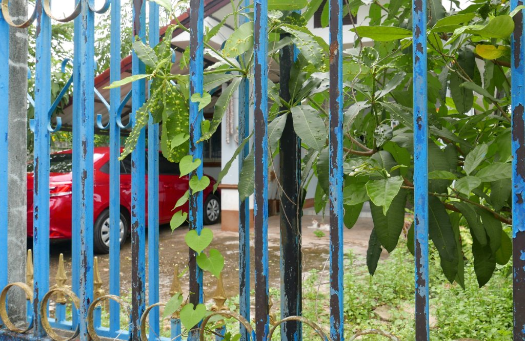 Chanpha Homestay roter Vios n.JPG