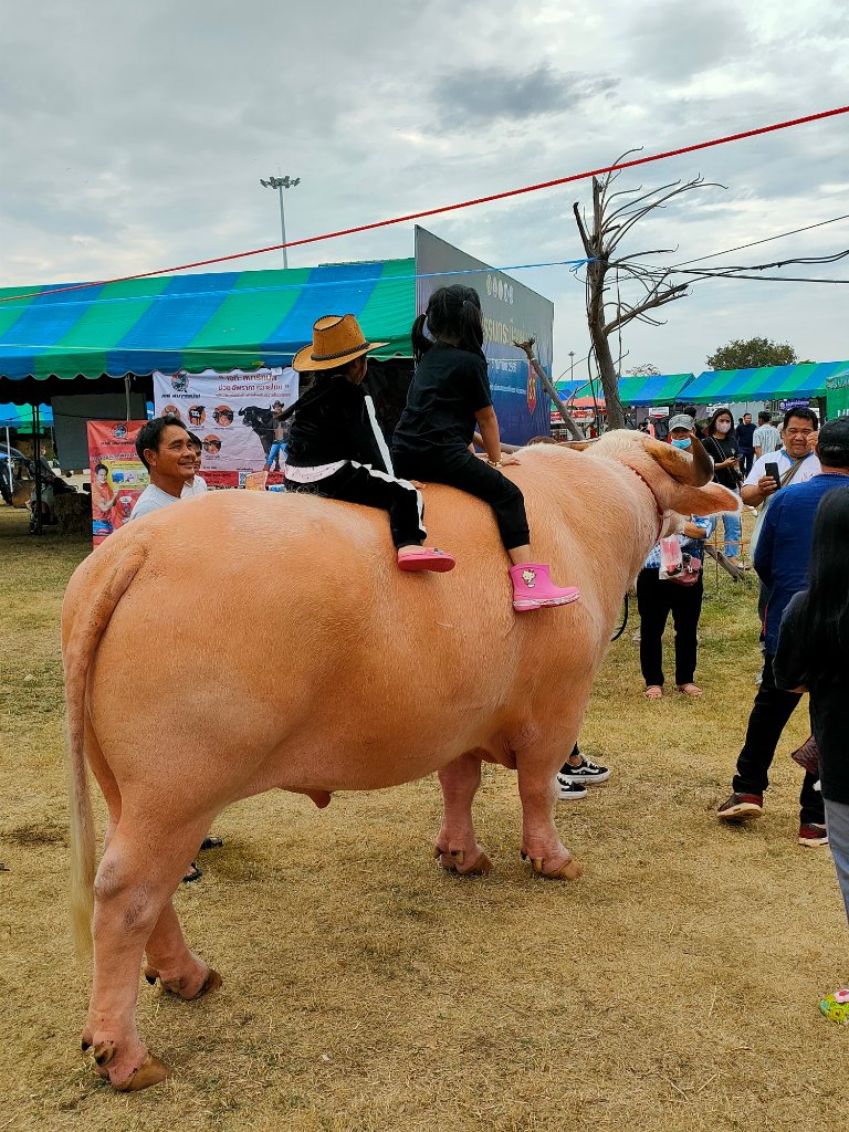 IMG20230204140920.jpg