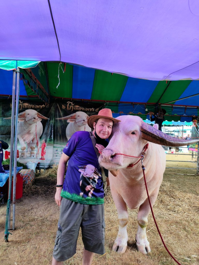 IMG20230204114324.jpg