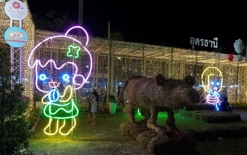 Fair 12.JPG
