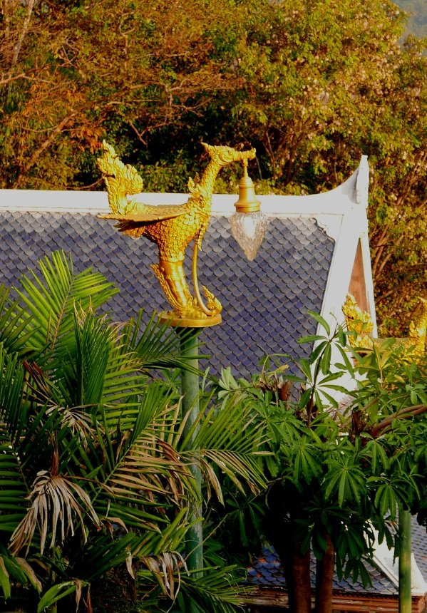 Wat Pa Phu Kon 13.JPG
