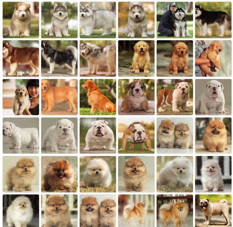 Quelle dog2boy 3.jpg