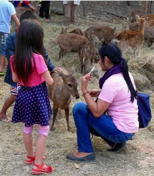 Zoo 2013 b.jpg
