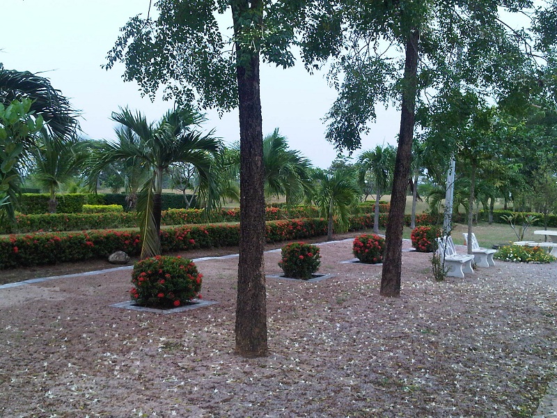 IMG00460-20131016-1415_800.jpg