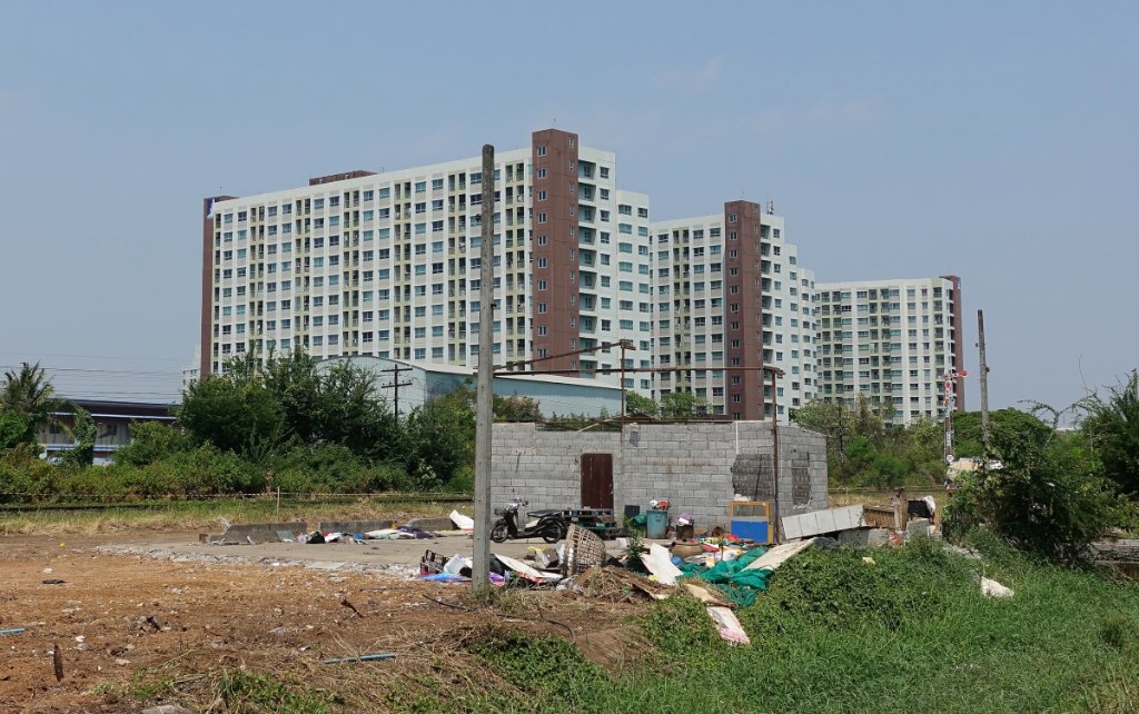 Lumpini h7.JPG