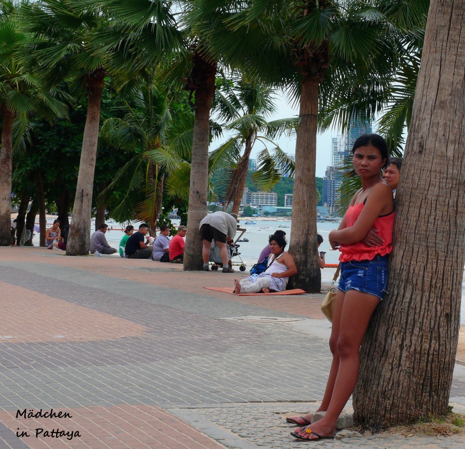P1130566.JPG