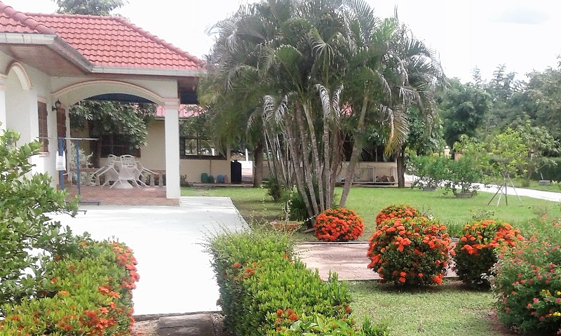 20160730_144611_800.jpg